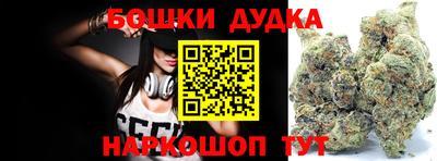 спайс Аша