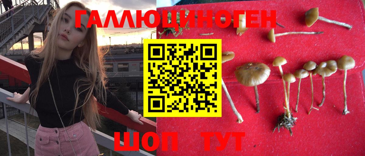 Псилоцибиновые грибы Psilocybe  Вход с VPN  Бахчисарай 
